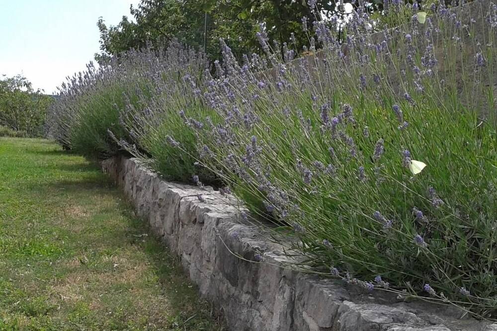 Photo of Outdoor in Ciritez
