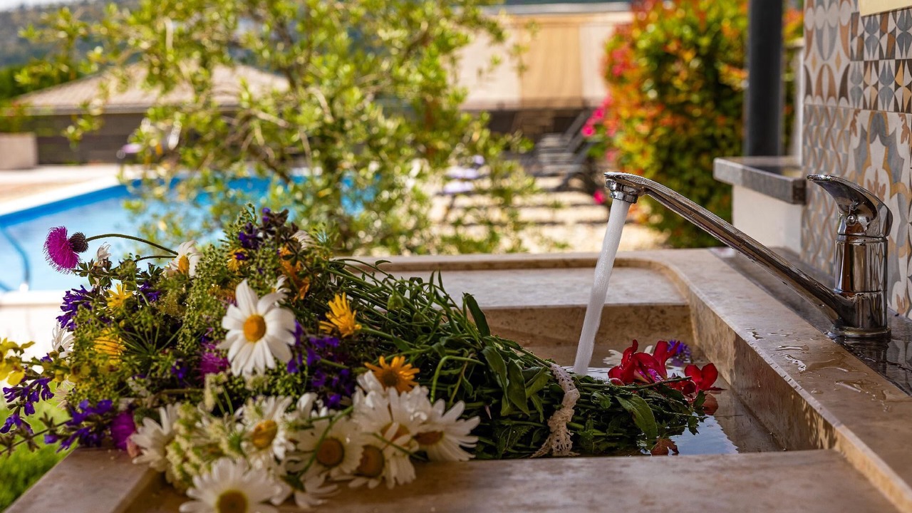 Photo of Outdoor in Bribir