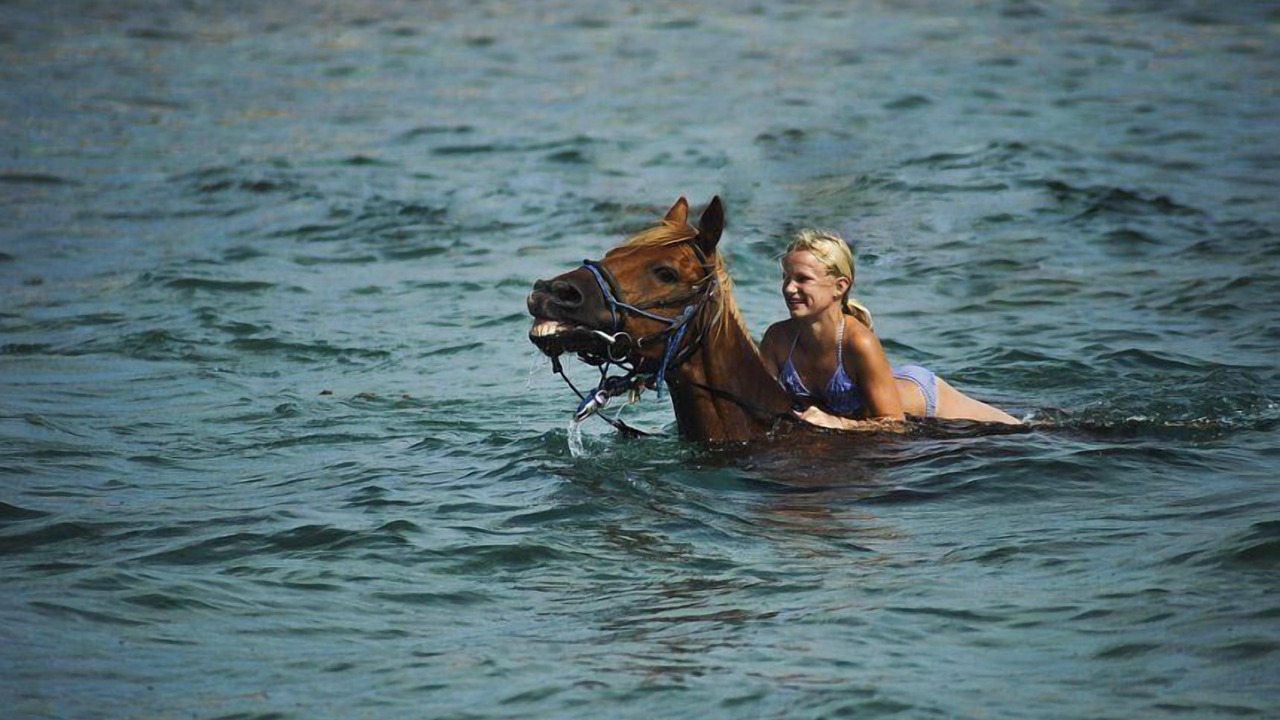 Photo of Others in Medulin