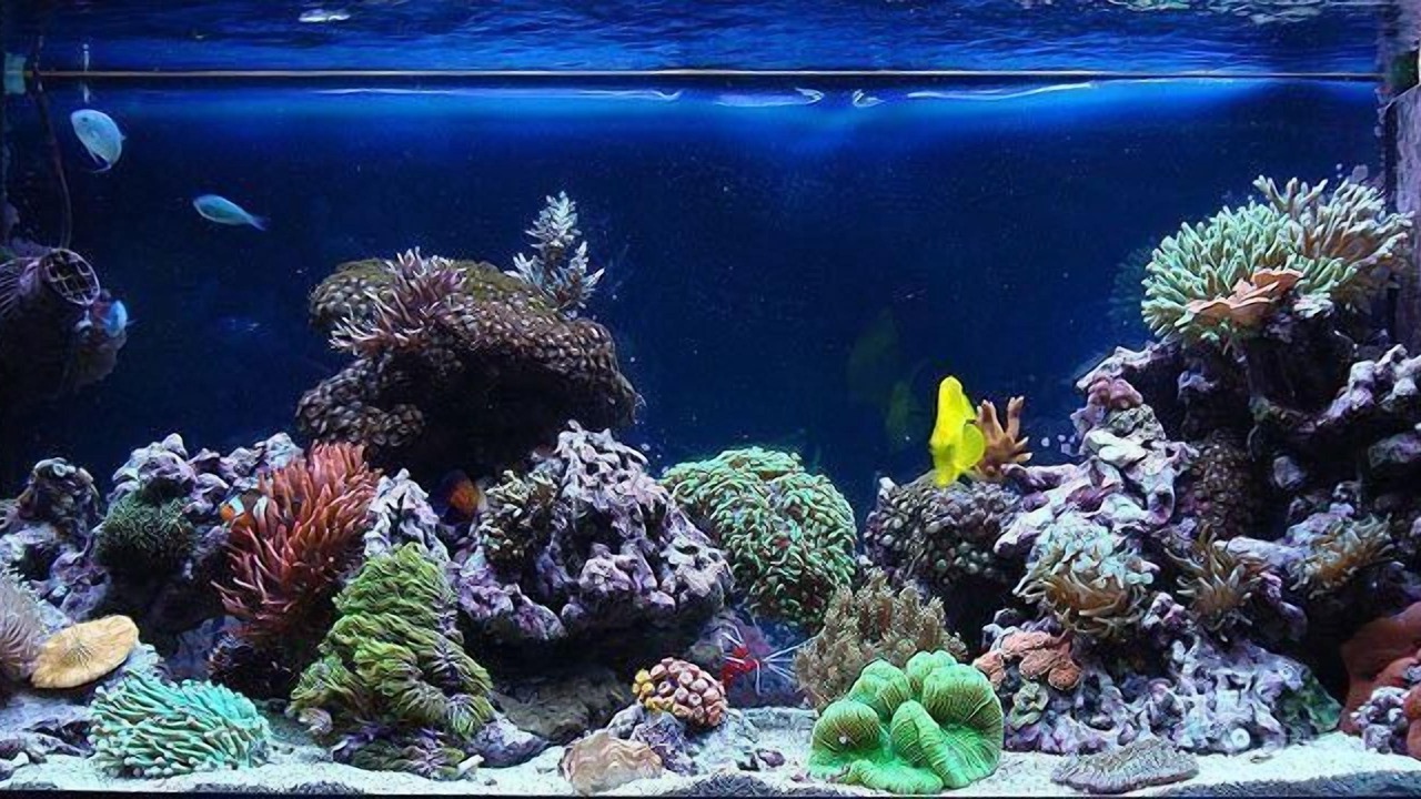 Photo of Others in Medulin