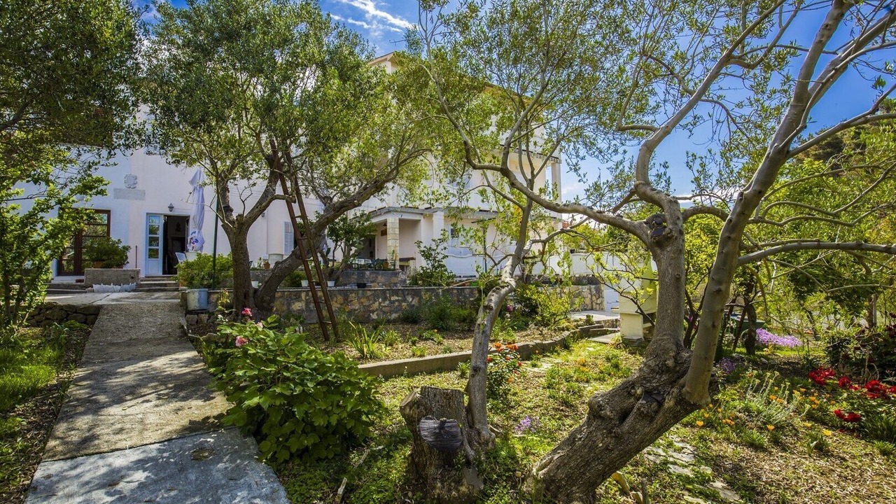 Photo of Outdoor in Banjol