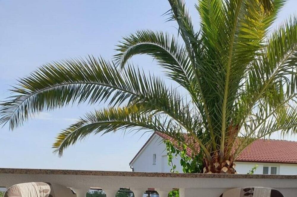 Photo of Patio Balcony in Banjol