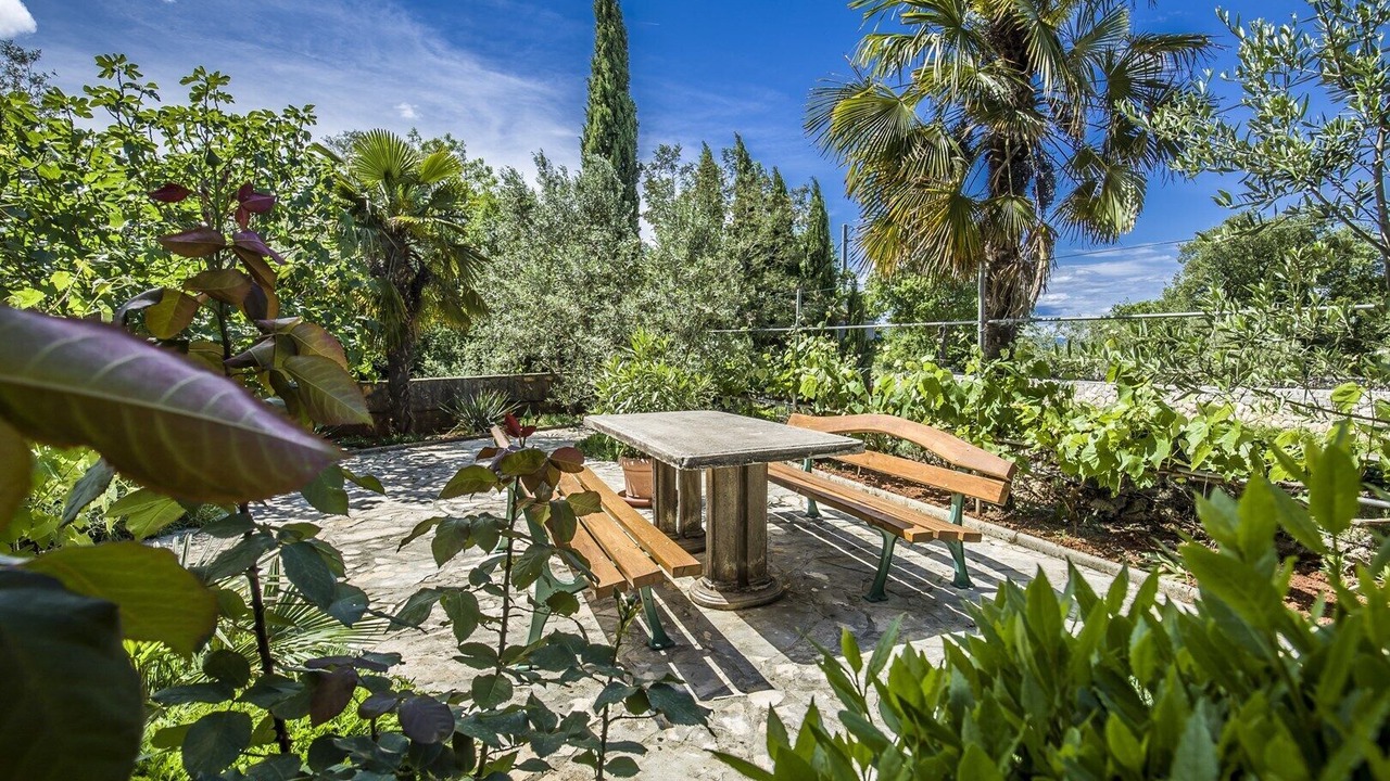 Photo of Outdoor in Milovcici
