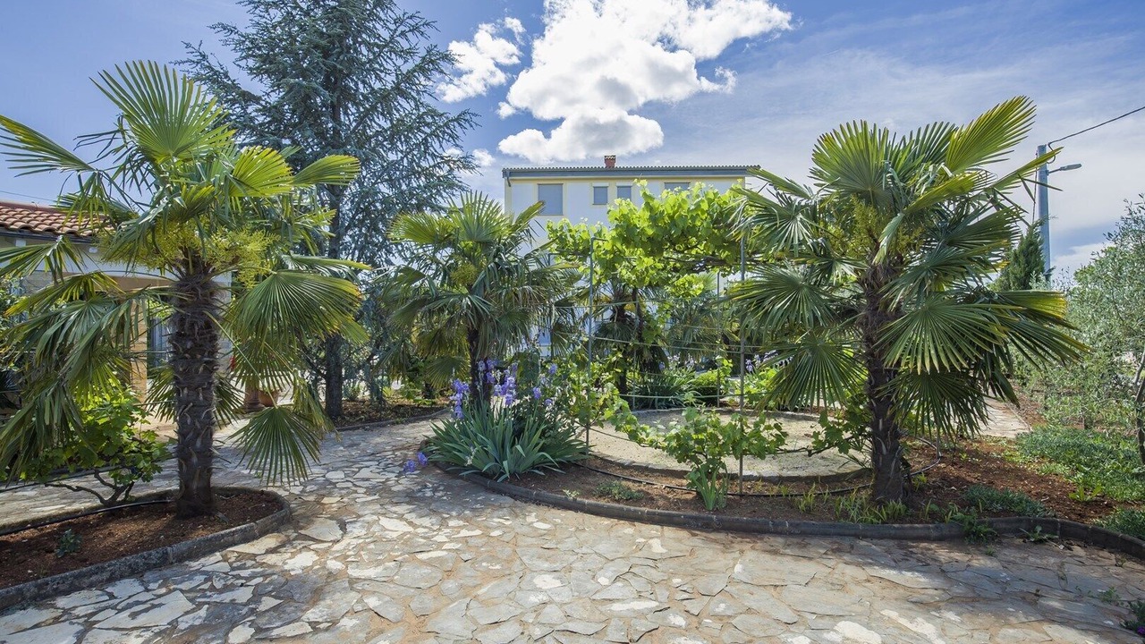 Photo of Outdoor in Milovcici