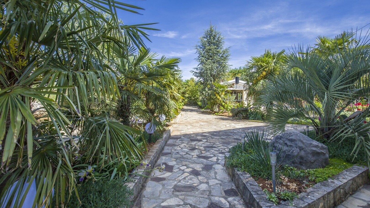 Photo of Outdoor in Milovcici