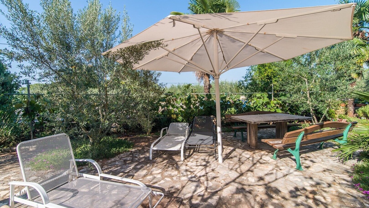 Photo of Outdoor in Milovcici