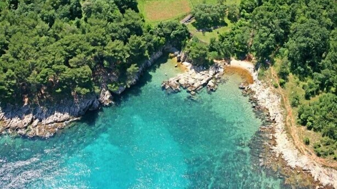 Photo of Outdoor in Milovcici