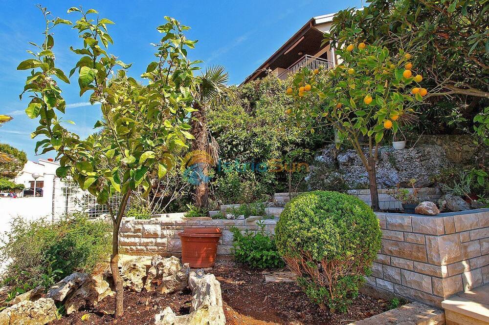 Photo of Outdoor in Pjescana Uvala