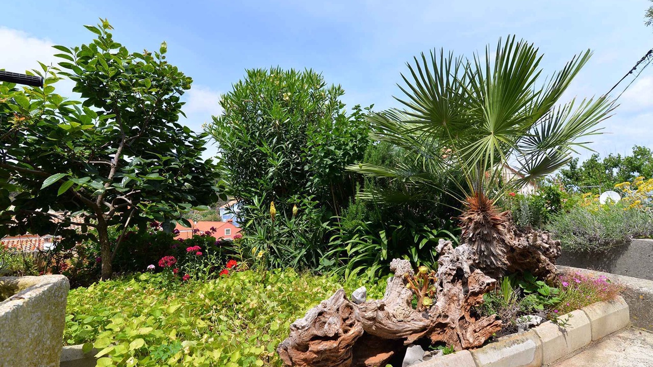 Photo of Outdoor in Veli Losinj