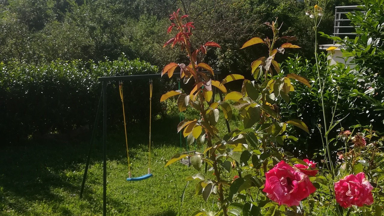 Photo of Outdoor in Buzet