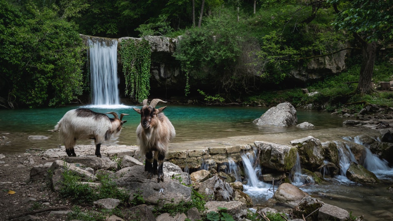 Photo of Outdoor in Cerovlje