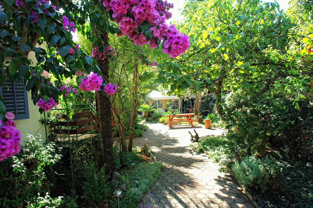 Photo of Outdoor in Punta Kriza