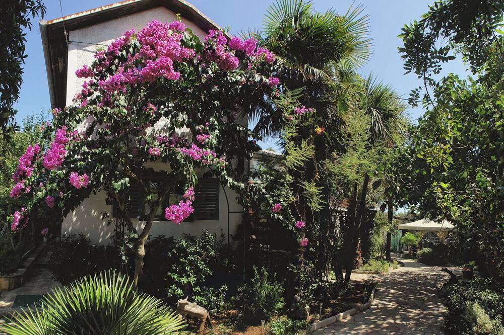 Photo of Outdoor in Punta Kriza