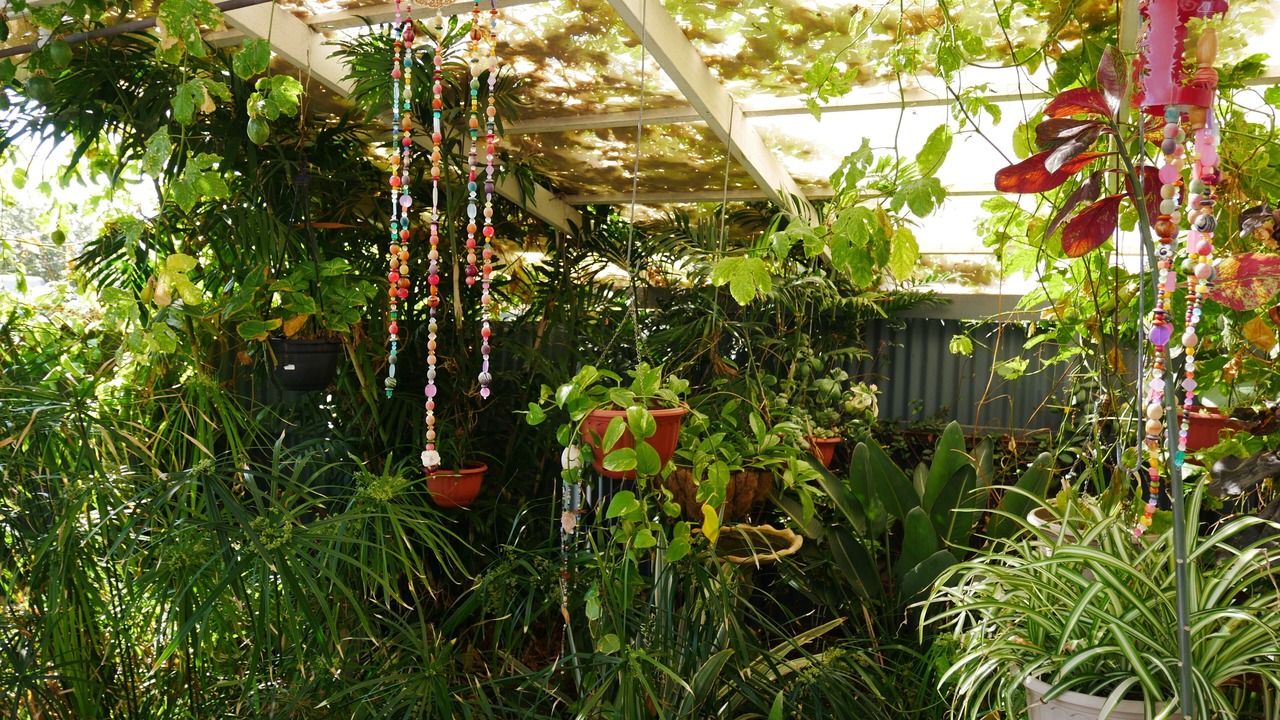 Photo of Outdoor in Geraldton