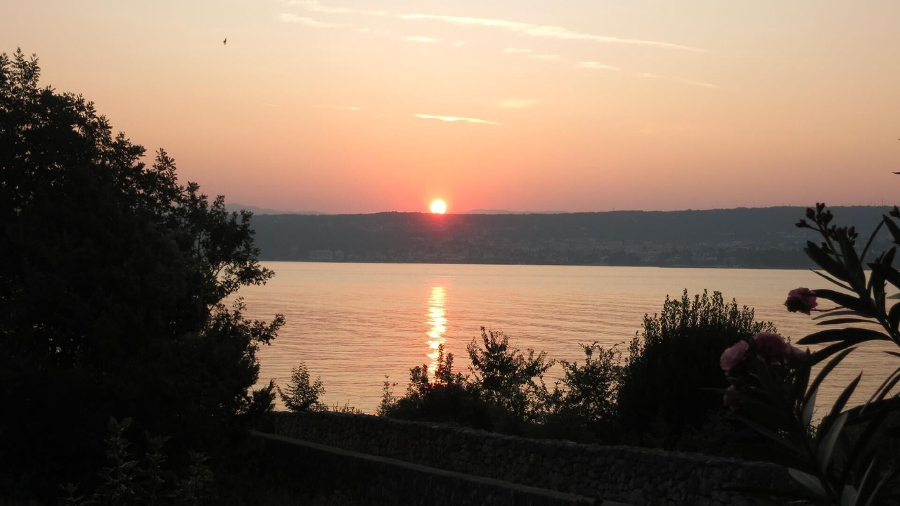 Photo of Others in Porat