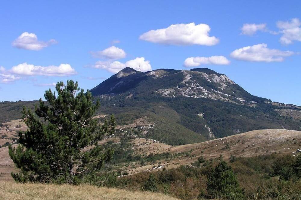 Photo of Others in Susnjevica