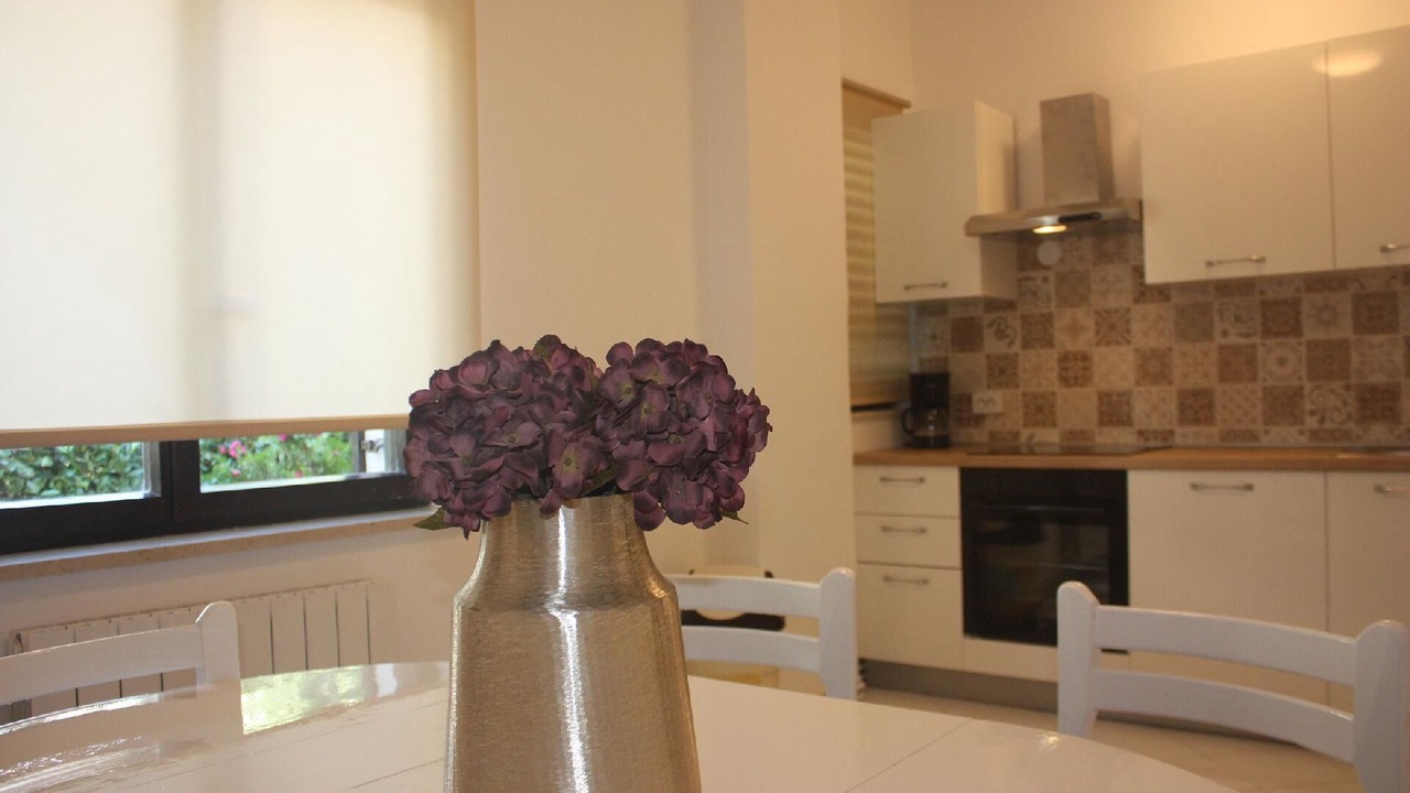 Photo of Kitchen in Pjescana Uvala
