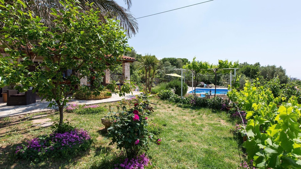 Photo of Outdoor in Viskovici