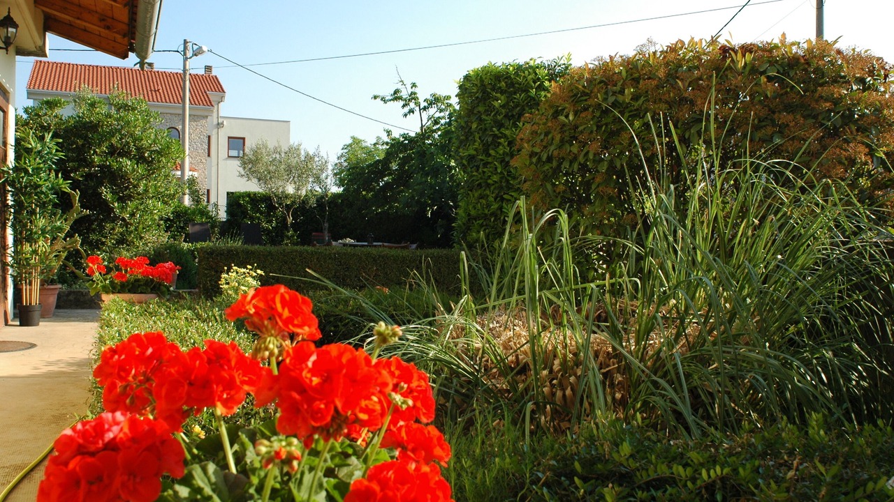 Photo of Outdoor in Milovcici
