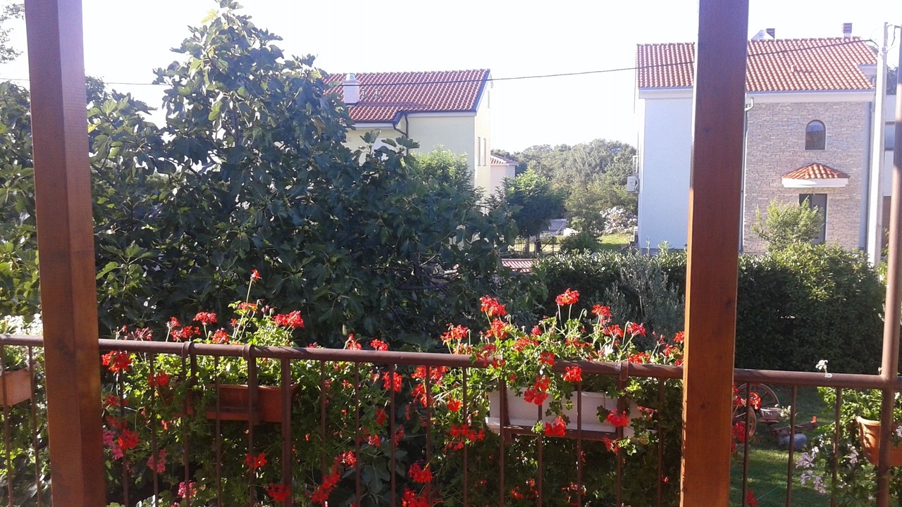 Photo of Outdoor in Milovcici