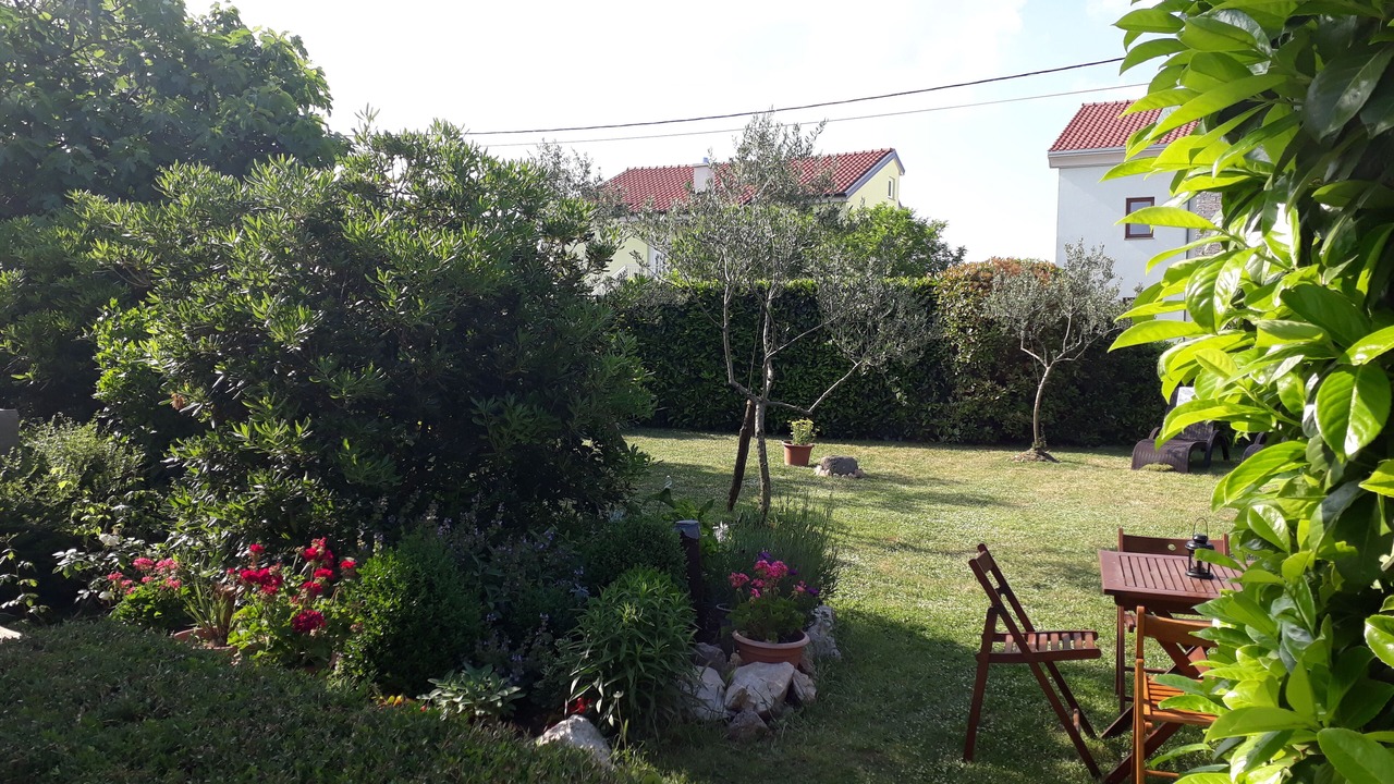 Photo of Outdoor in Milovcici