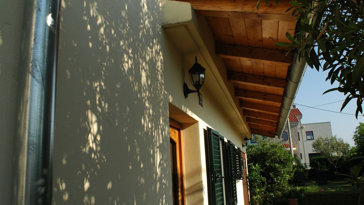 Photo of Outdoor in Milovcici