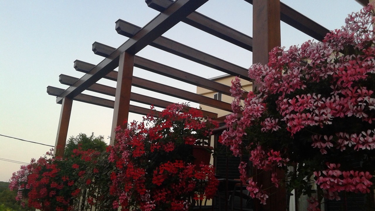 Photo of Outdoor in Milovcici