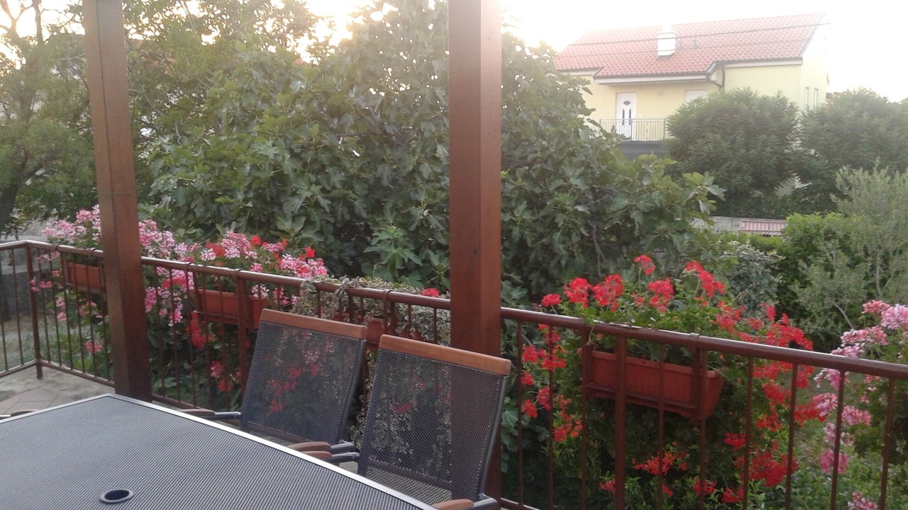 Photo of Outdoor in Milovcici