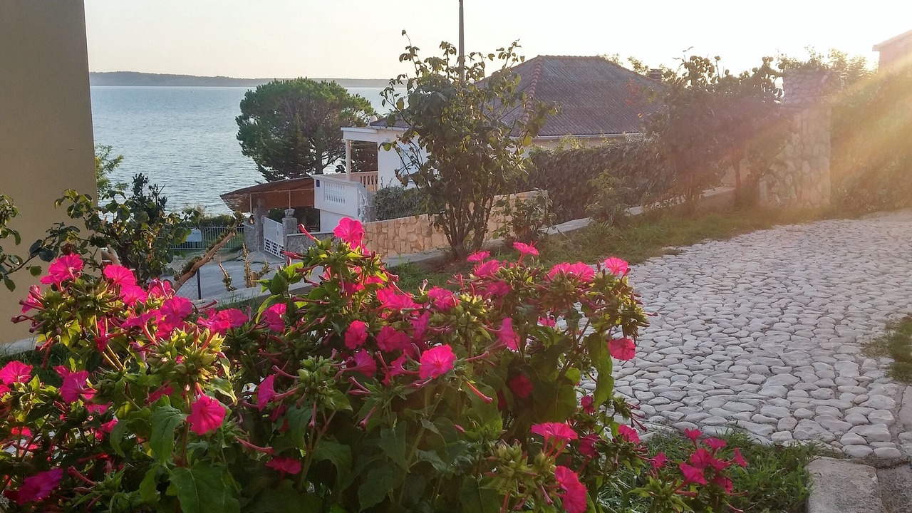 Photo of Outdoor in Rtina