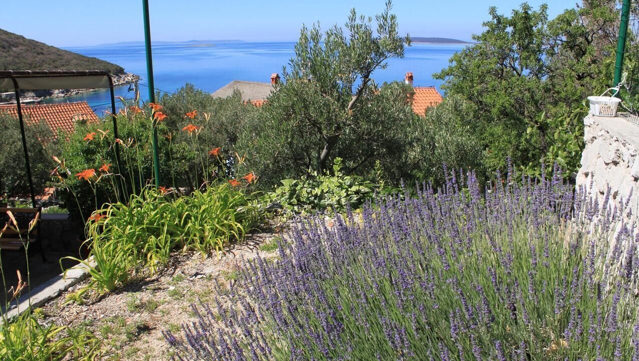 Photo of Outdoor in Miholascica