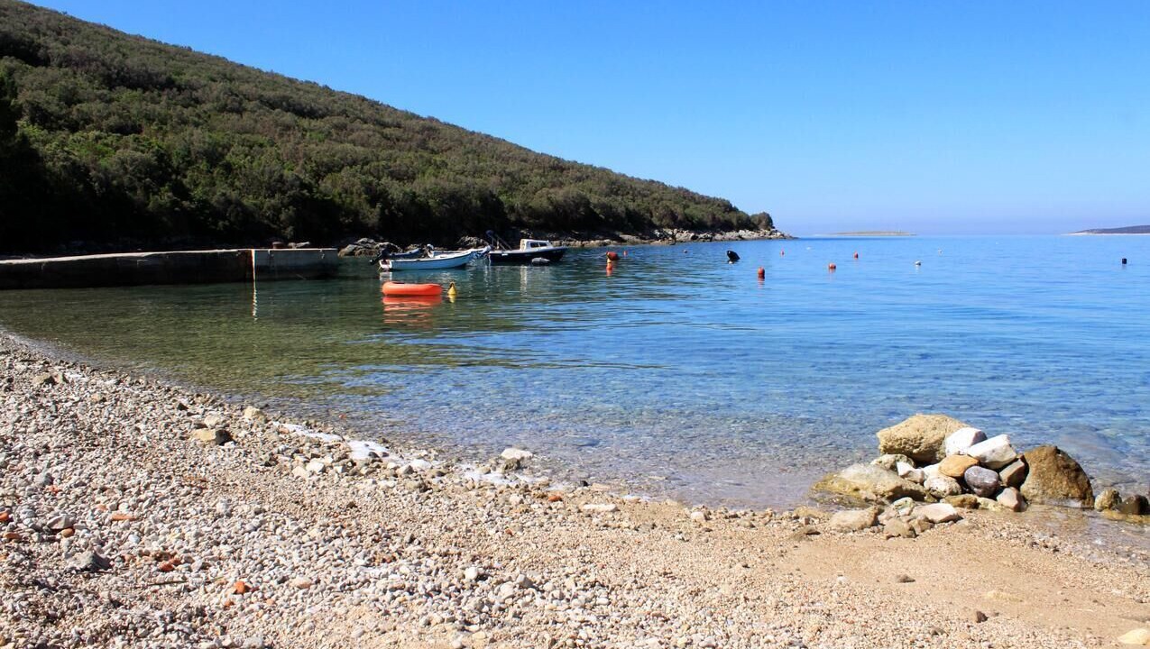 Photo of Others in Miholascica