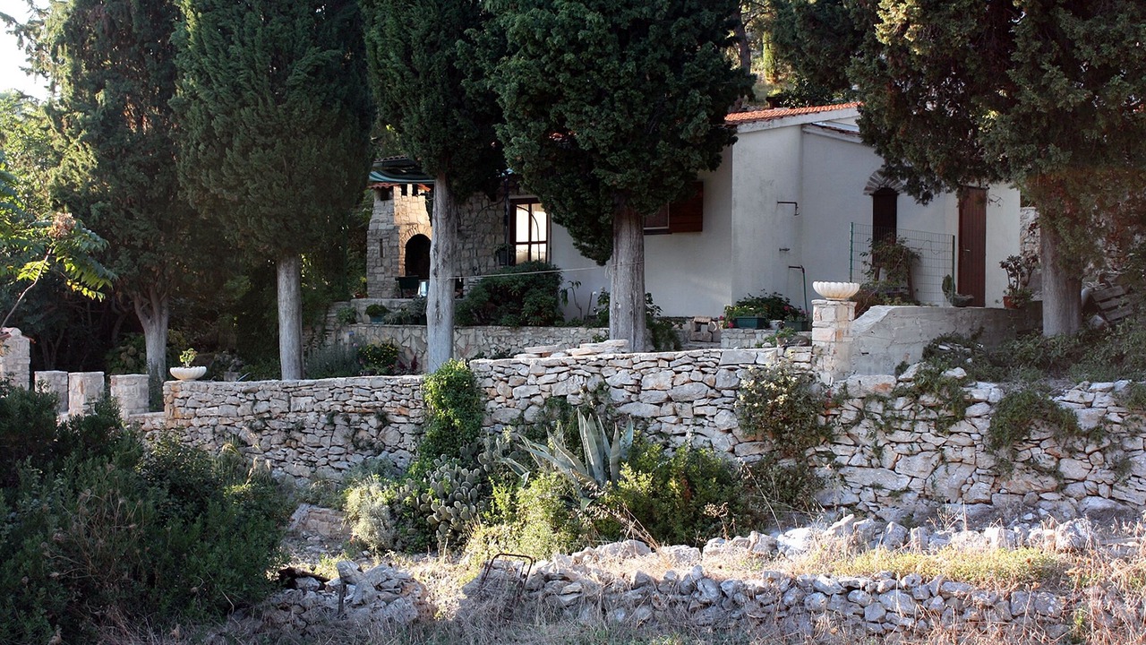 Photo of Outdoor in Maslinica