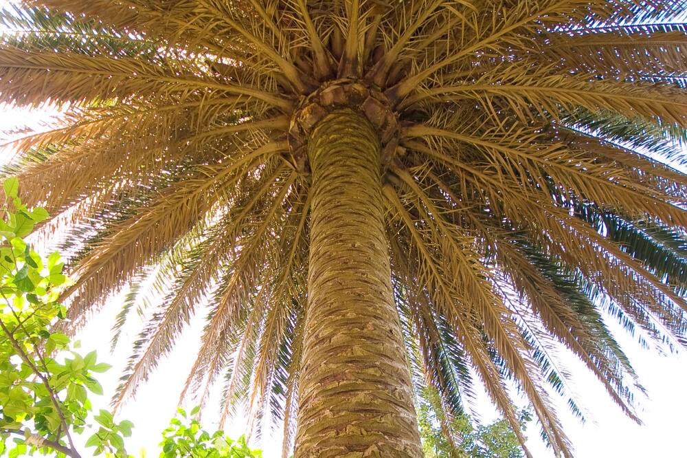 Photo of Outdoor in Rab