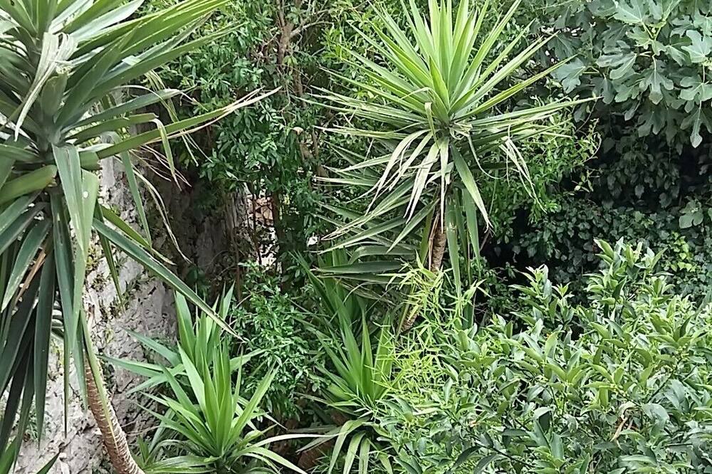 Photo of Outdoor in Donje Selo