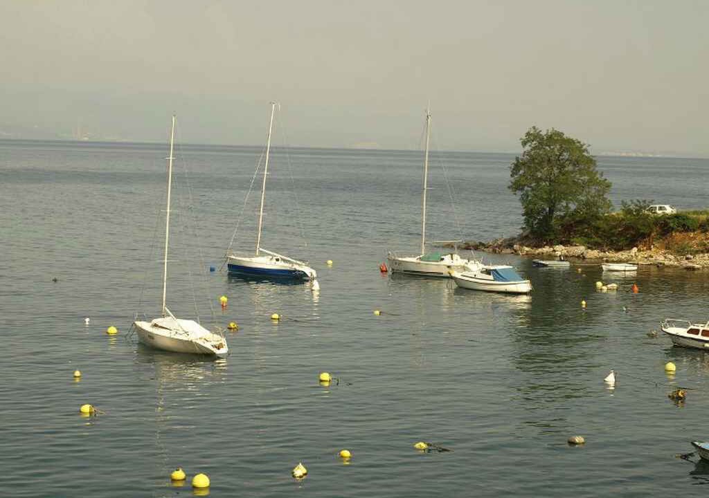 Photo of Outdoor in Ika