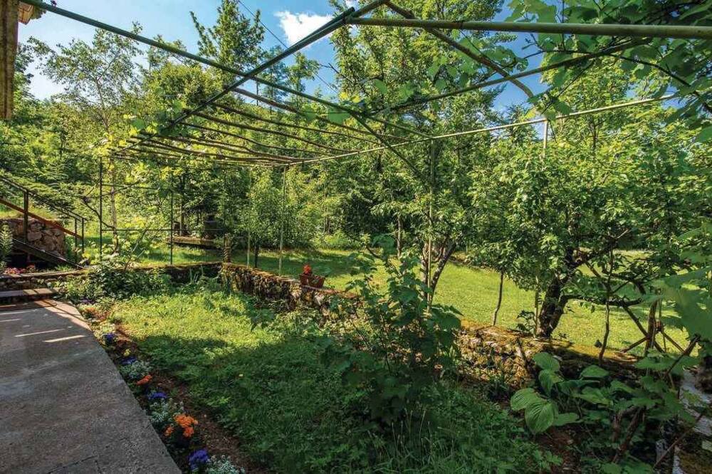 Photo of Outdoor in Zlobin
