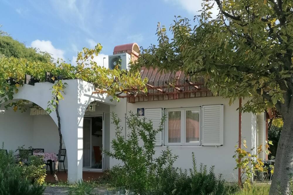 Photo of Others in Miholascica