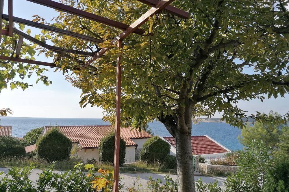 Photo of Outdoor in Miholascica