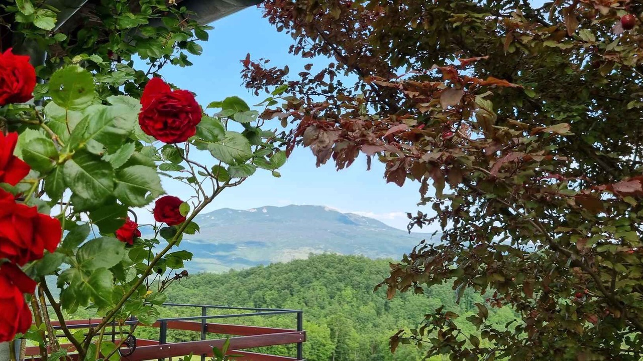 Photo of Outdoor in Cerovlje