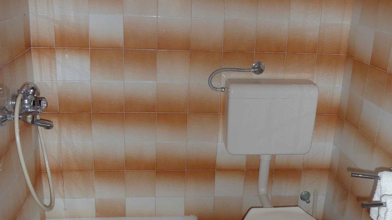 Photo of Bathroom in Palit