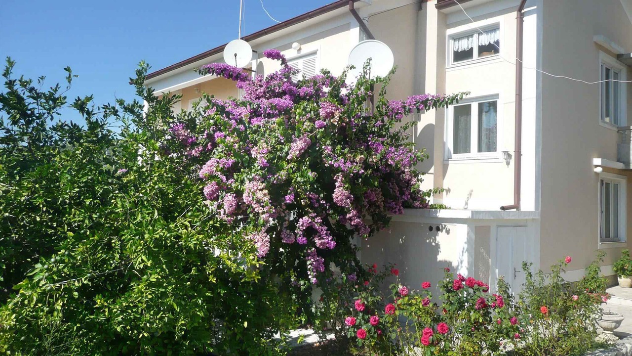 Photo of Outdoor in Palit