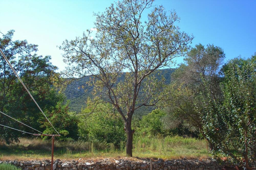 Photo of Outdoor in Nerezine