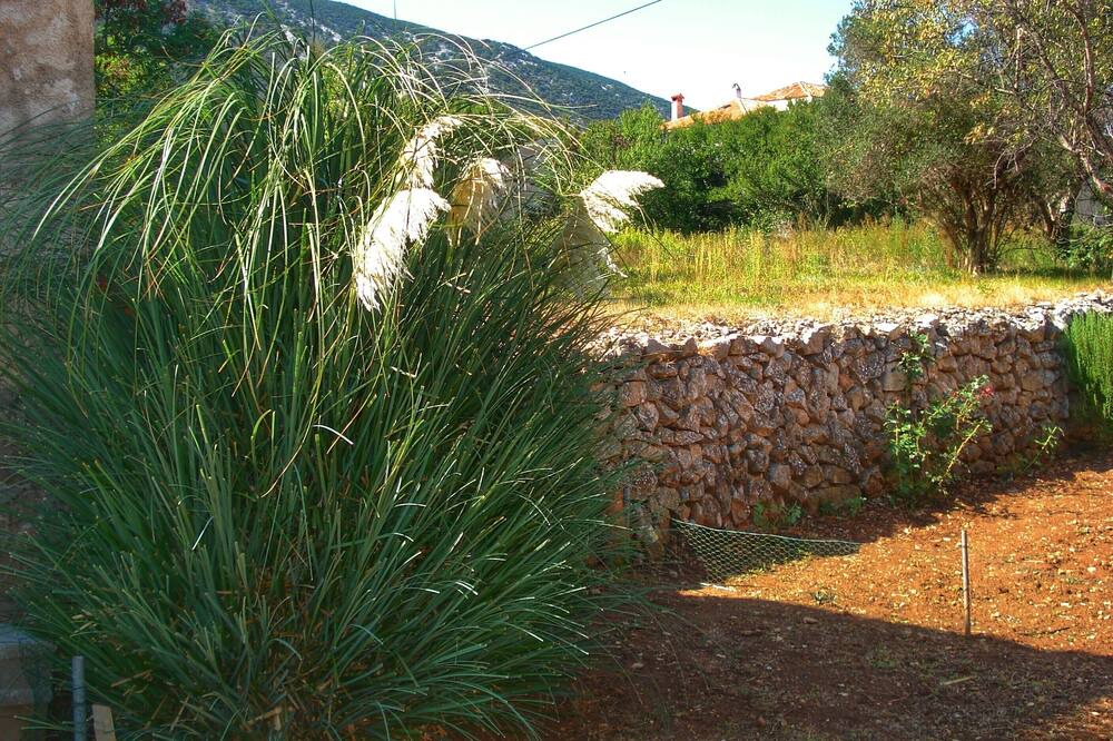 Photo of Outdoor in Nerezine
