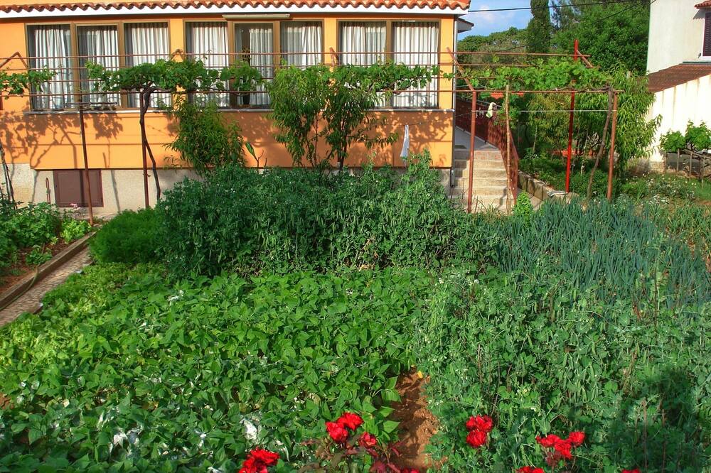 Photo of Outdoor in Nerezine