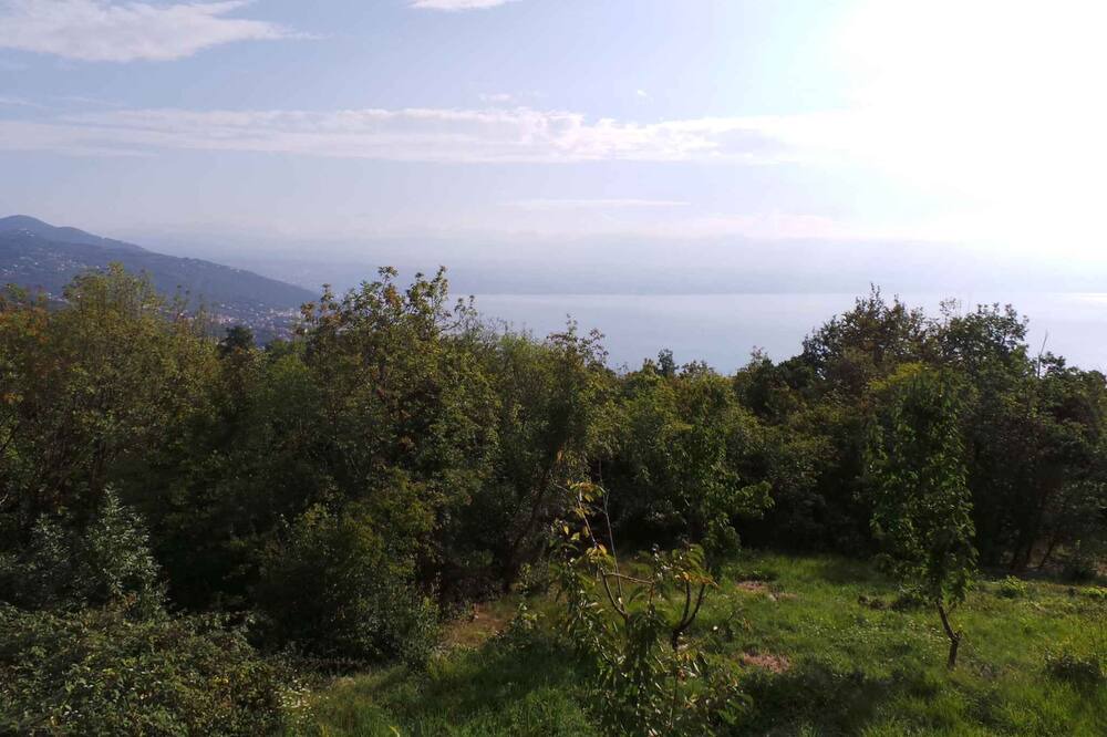 Photo of Others in Tulisevica
