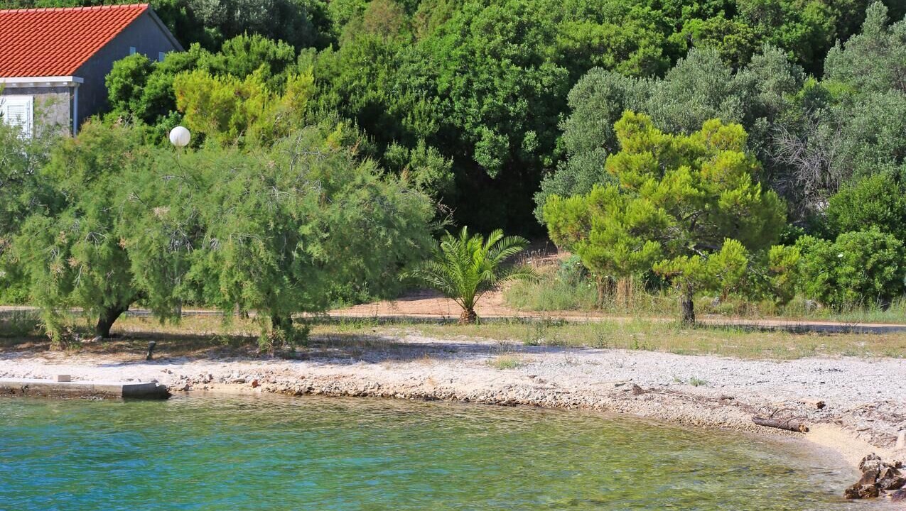 Photo of Others in Brijesta