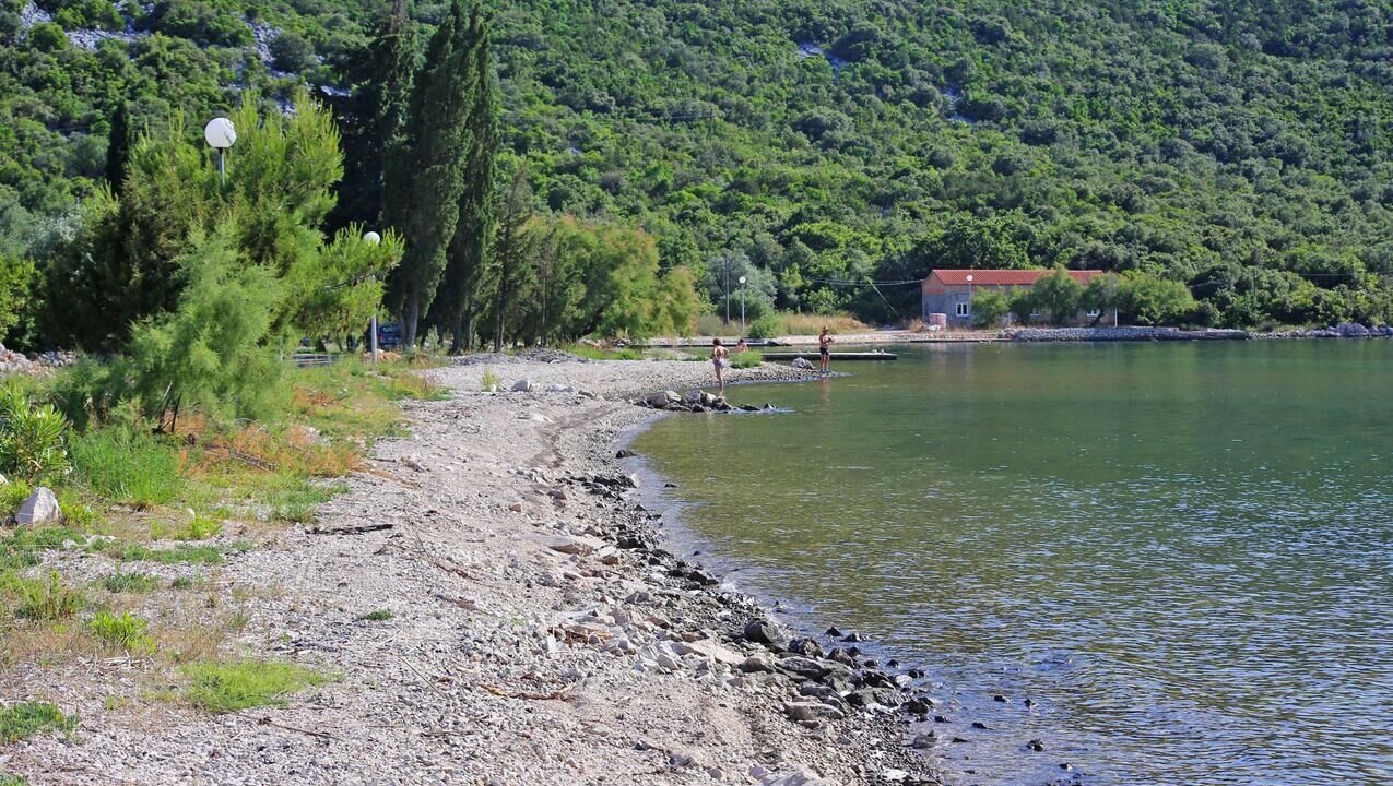 Photo of Others in Brijesta