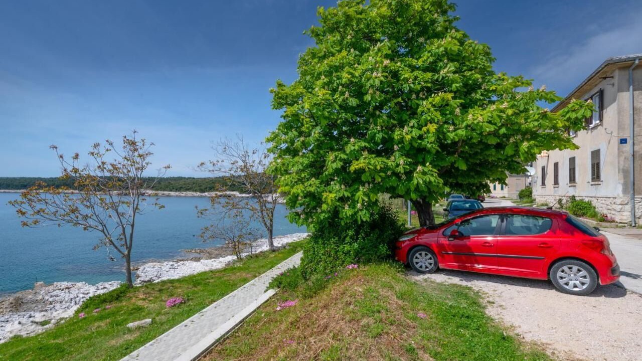 Photo of Outdoor in Koromacno