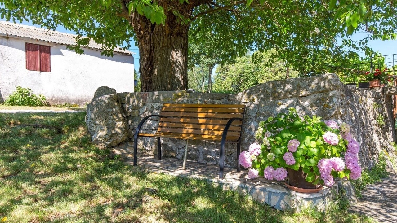 Photo of Outdoor in Bartici
