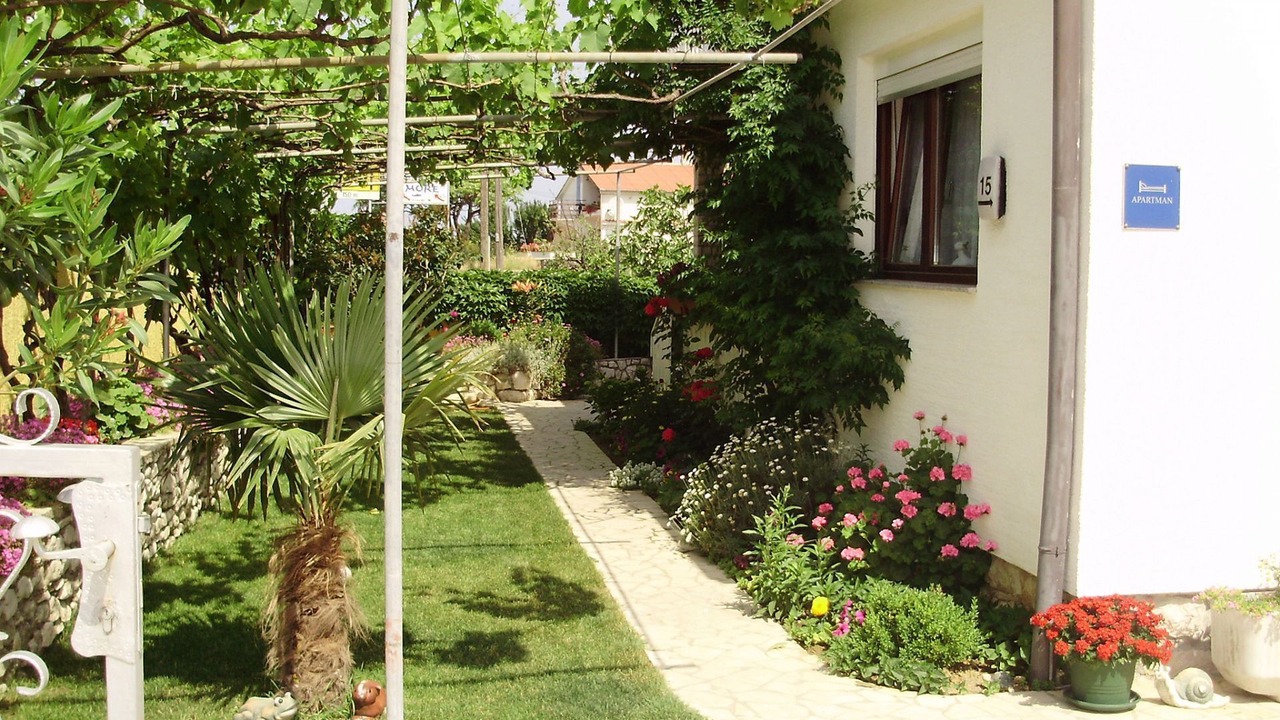 Photo of Outdoor in Supetarska Draga